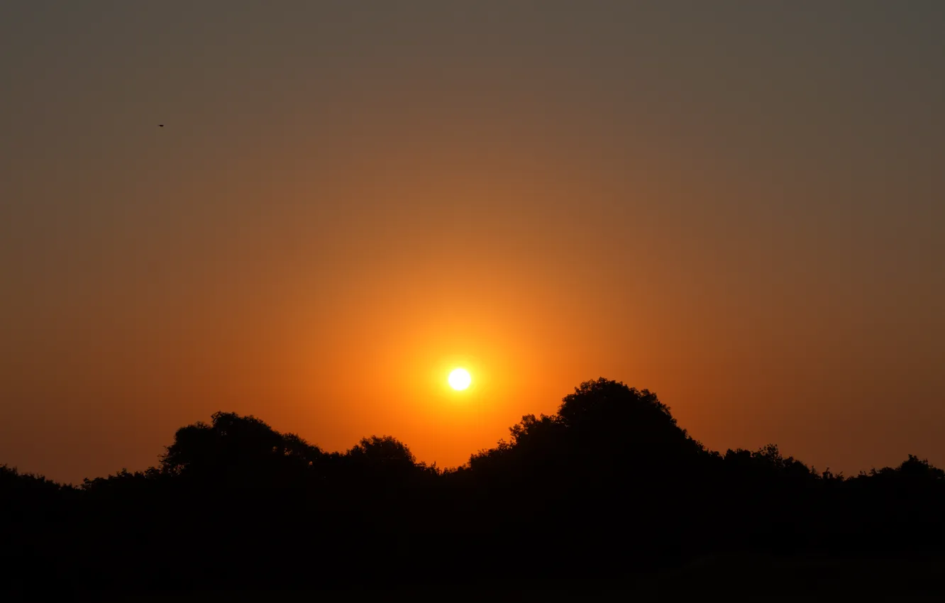 Photo wallpaper the sky, sunset, nature, dawn, sky, nature, sunset, sunrise