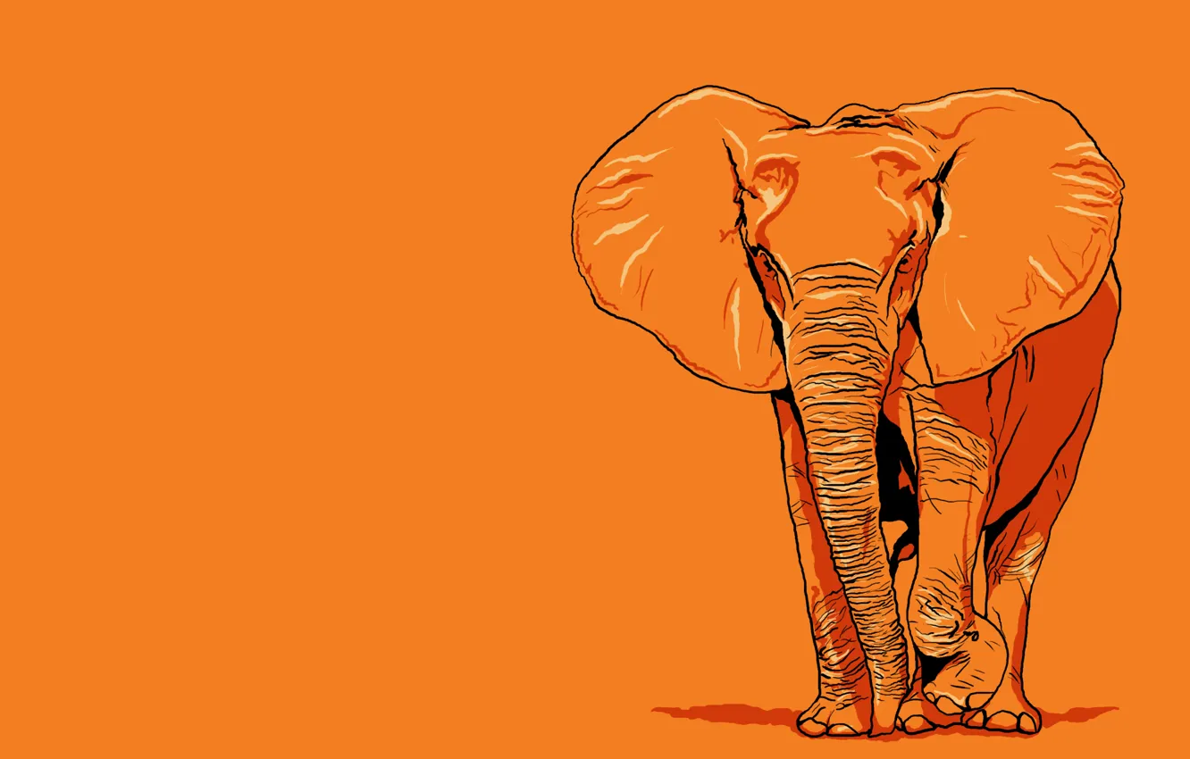 Photo wallpaper elephant, giant, orange