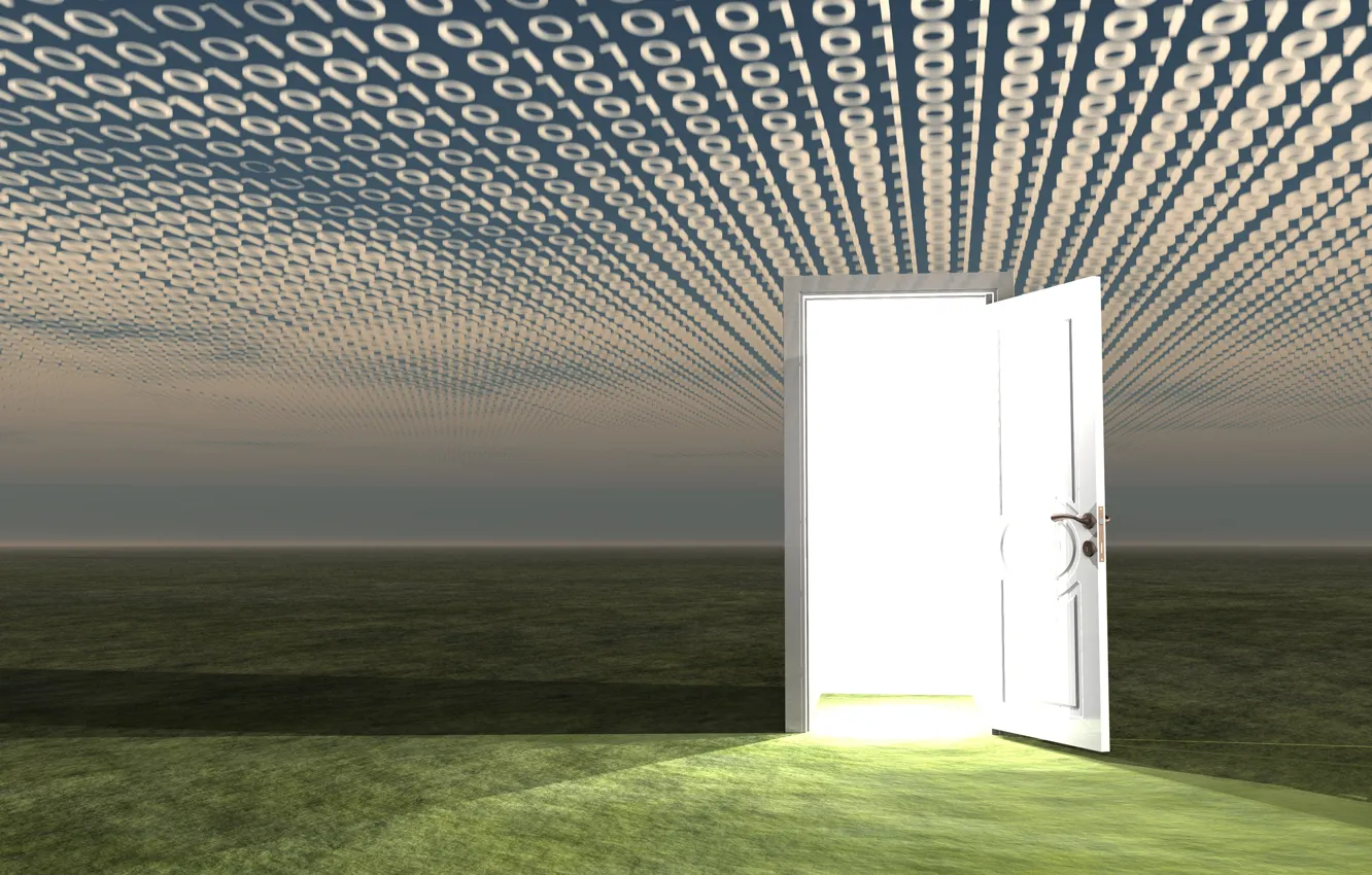 Photo wallpaper field, light, the door, figures