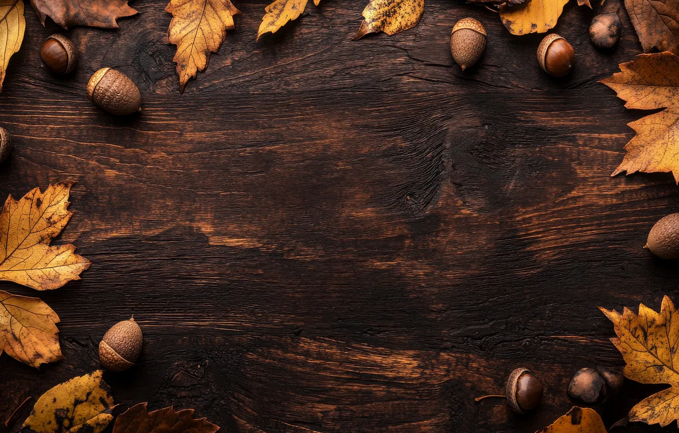 Photo wallpaper autumn, Board, texture, fruit, nuts, acorns, brown background, autumn leaves