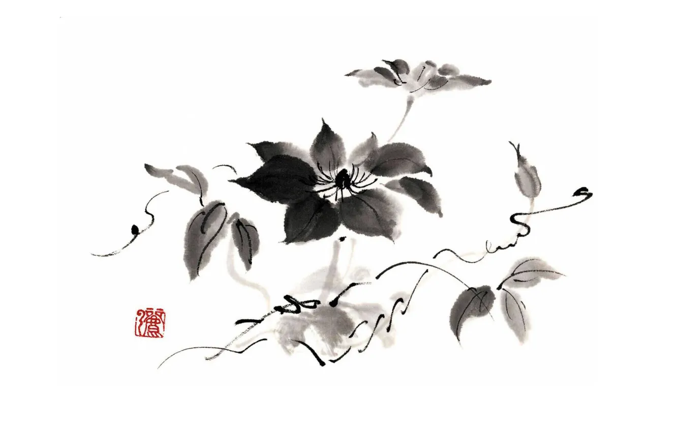 Photo wallpaper white, flowers, black, Chinese painting, monochrome