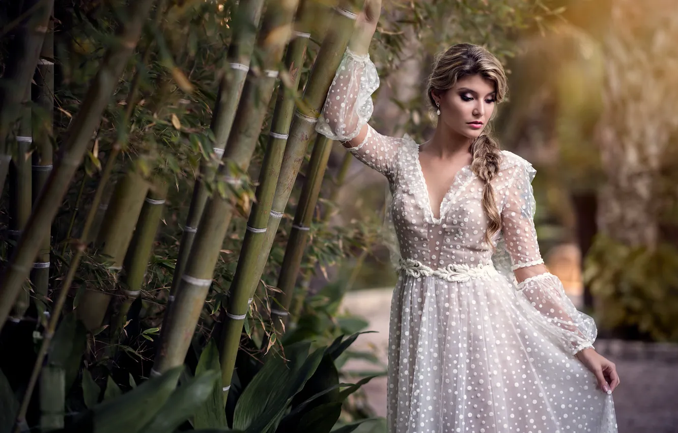 Photo wallpaper girl, dress, braid