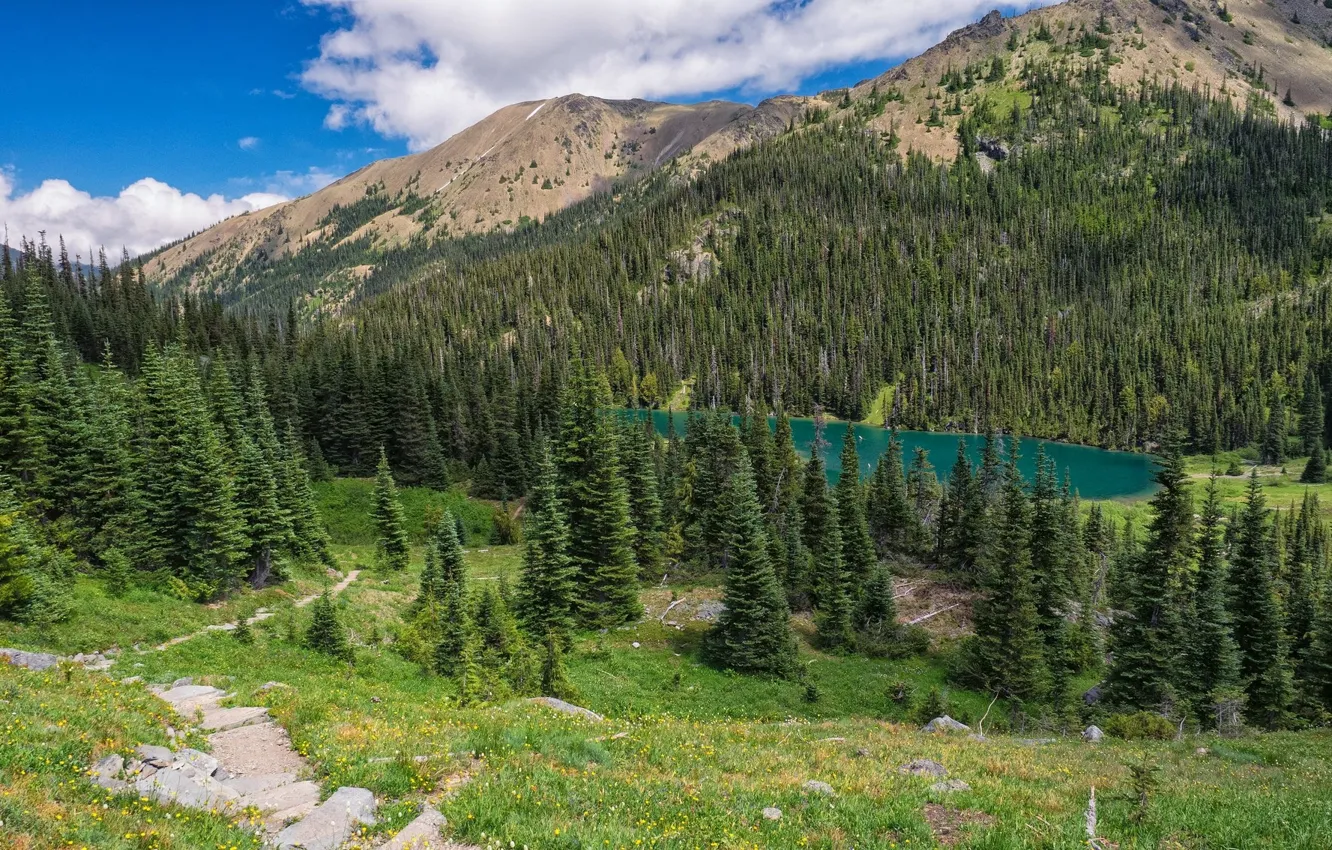 Photo wallpaper the sky, trees, mountains
