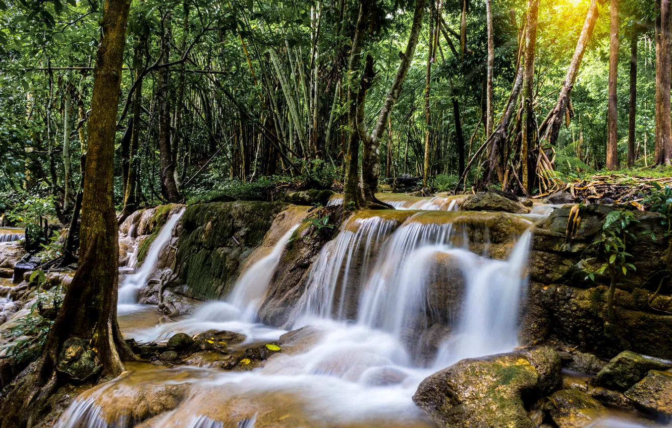 Photo wallpaper forest, landscape, river, rocks, waterfall, summer, forest, tropical