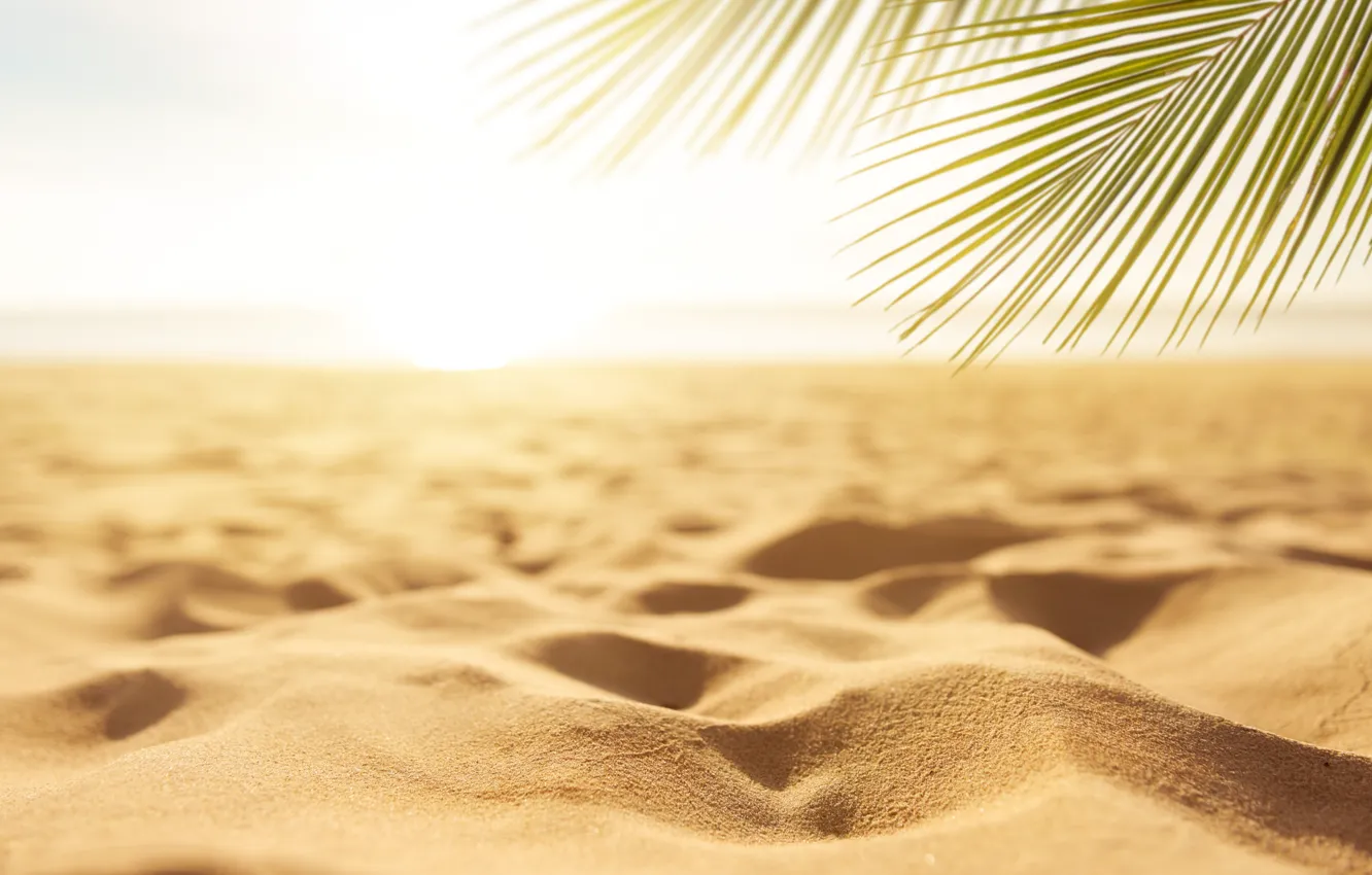 Photo wallpaper sand, sea, beach, summer, the sky, the sun, palm trees, shore