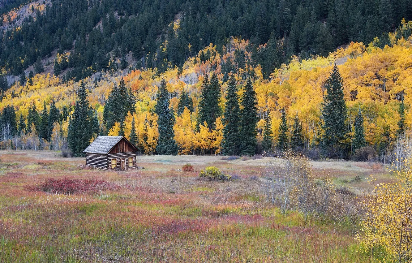 Photo wallpaper field, autumn, forest, trees, mountains, nature, house