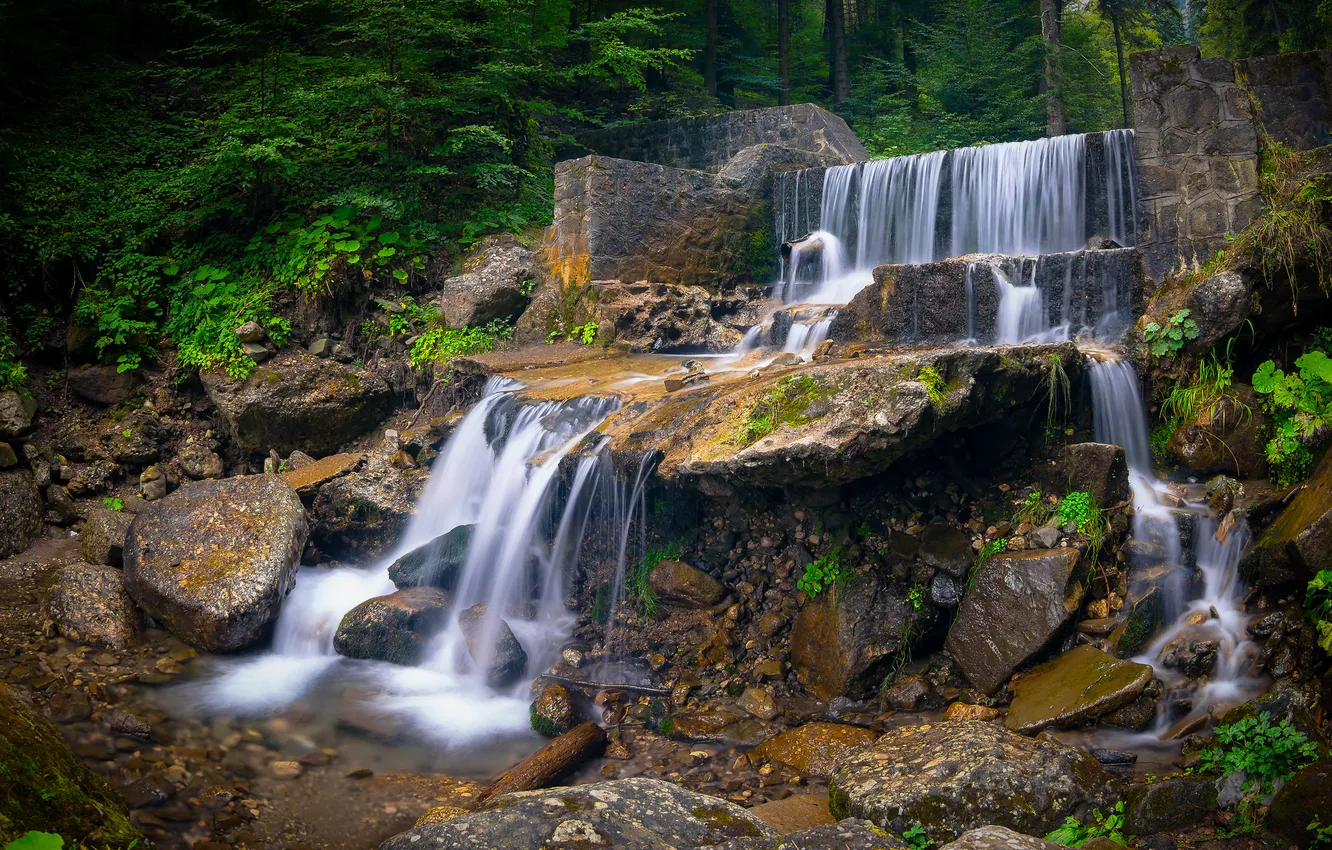 Photo wallpaper forest, nature, river, waterfall