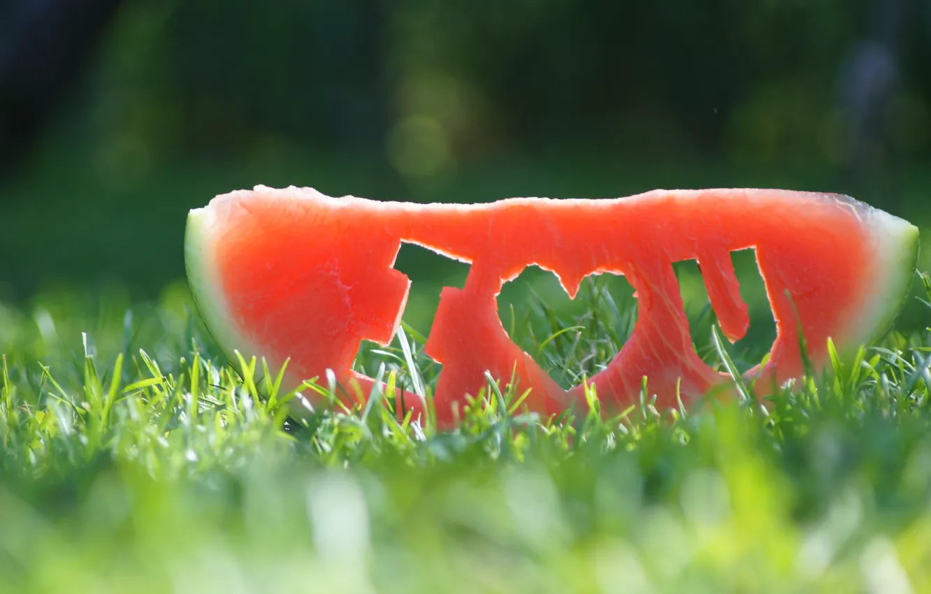Photo wallpaper grass, watermelon, i love you, slices