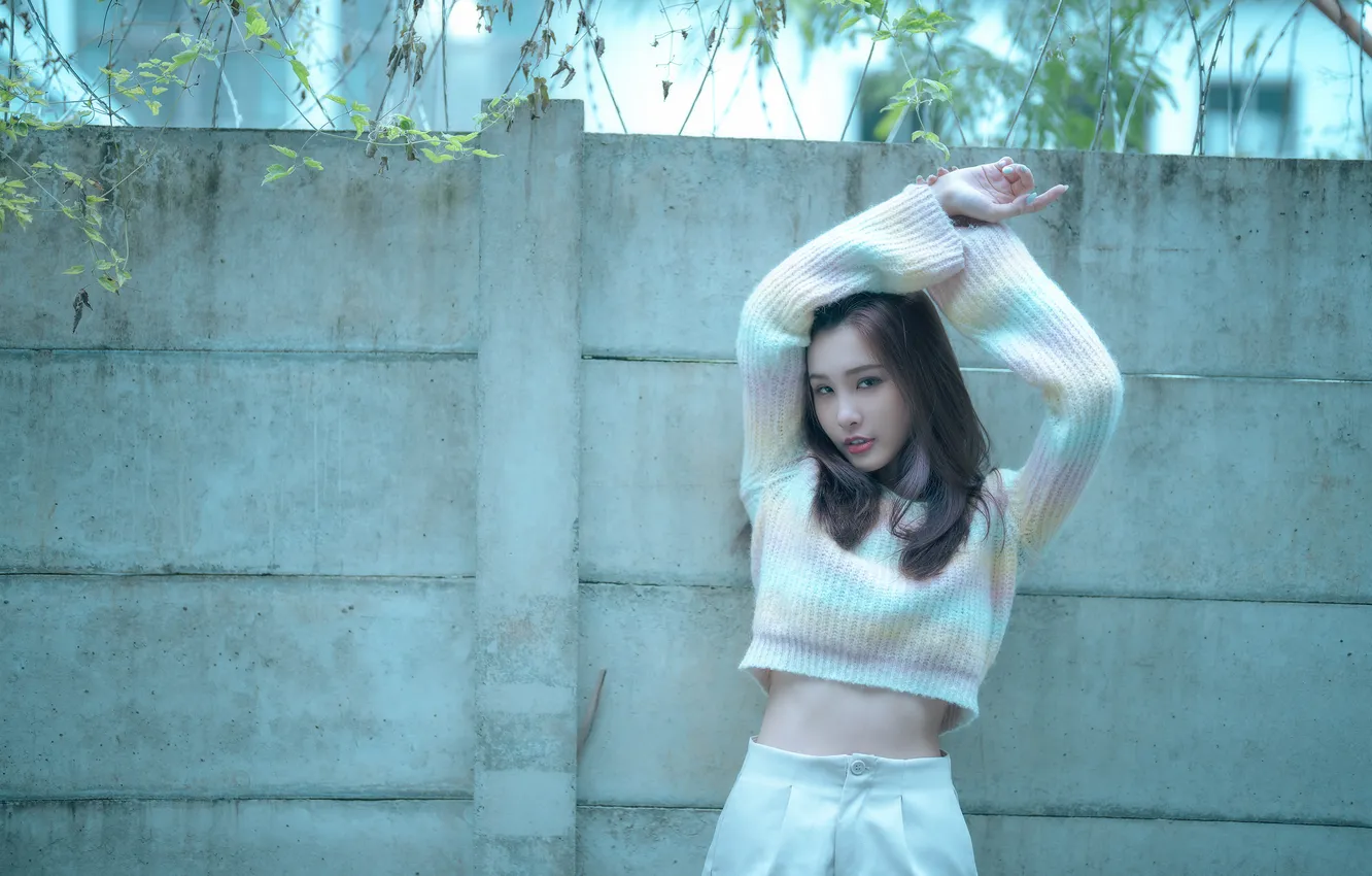 Photo wallpaper look, girl, pose, the fence, hands, figure, Asian, sweater