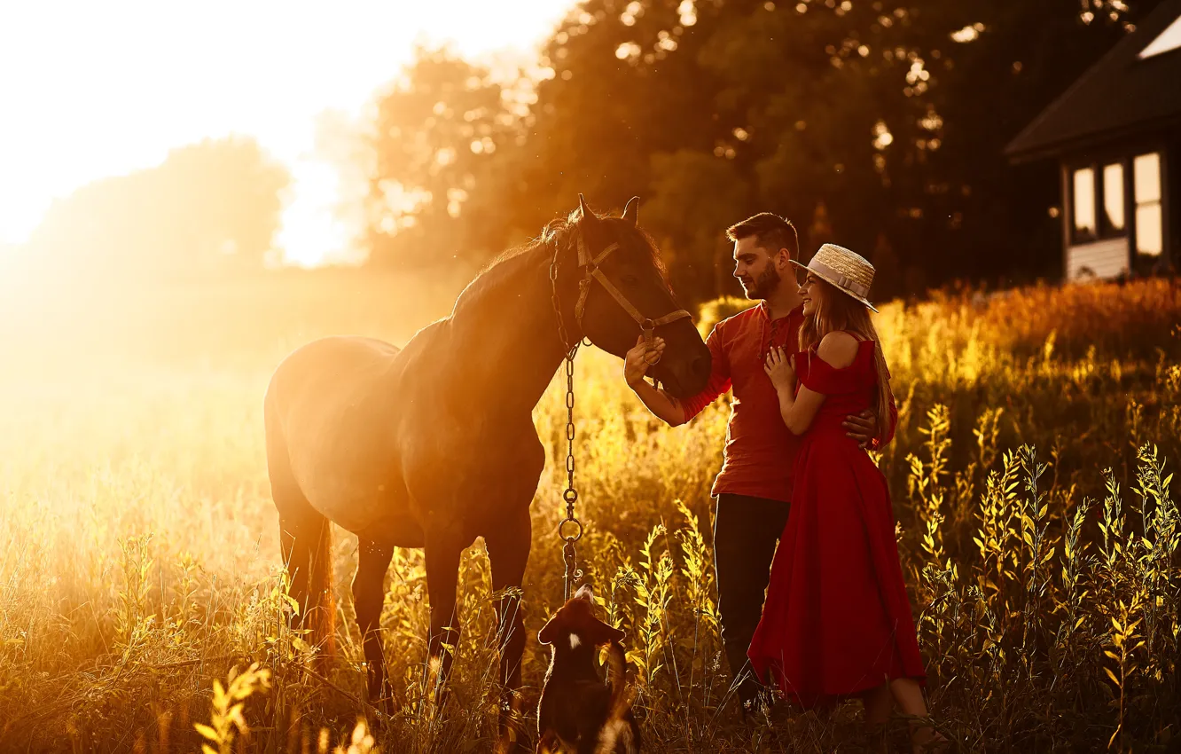 Photo wallpaper girl, horse, horse, family, male