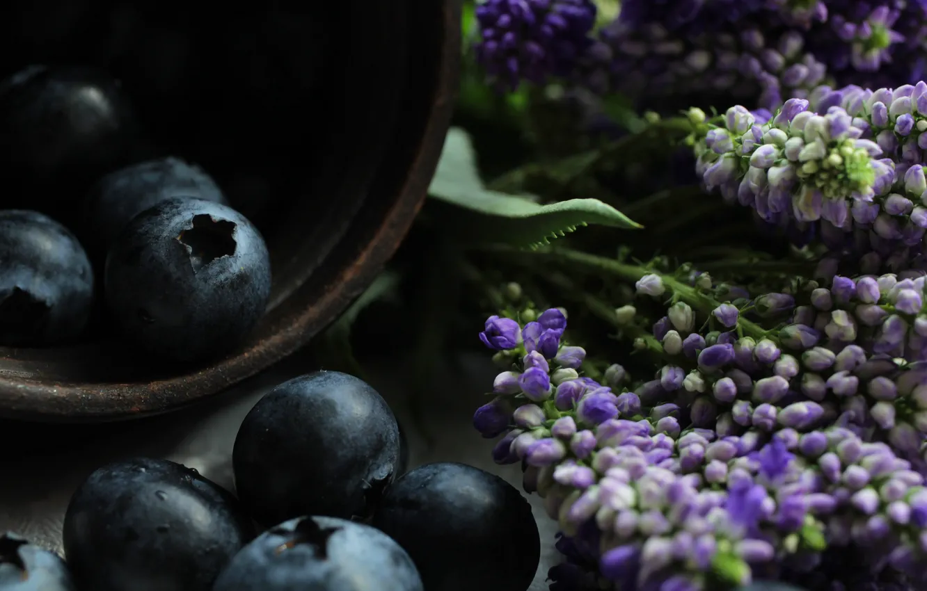 Photo wallpaper macro, flowers, berries, the dark background, food, blueberries, Cup, bowl