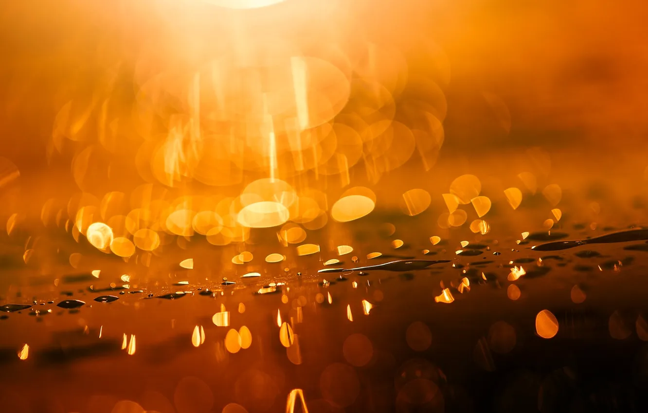 Photo wallpaper water, drops, macro, light, glare