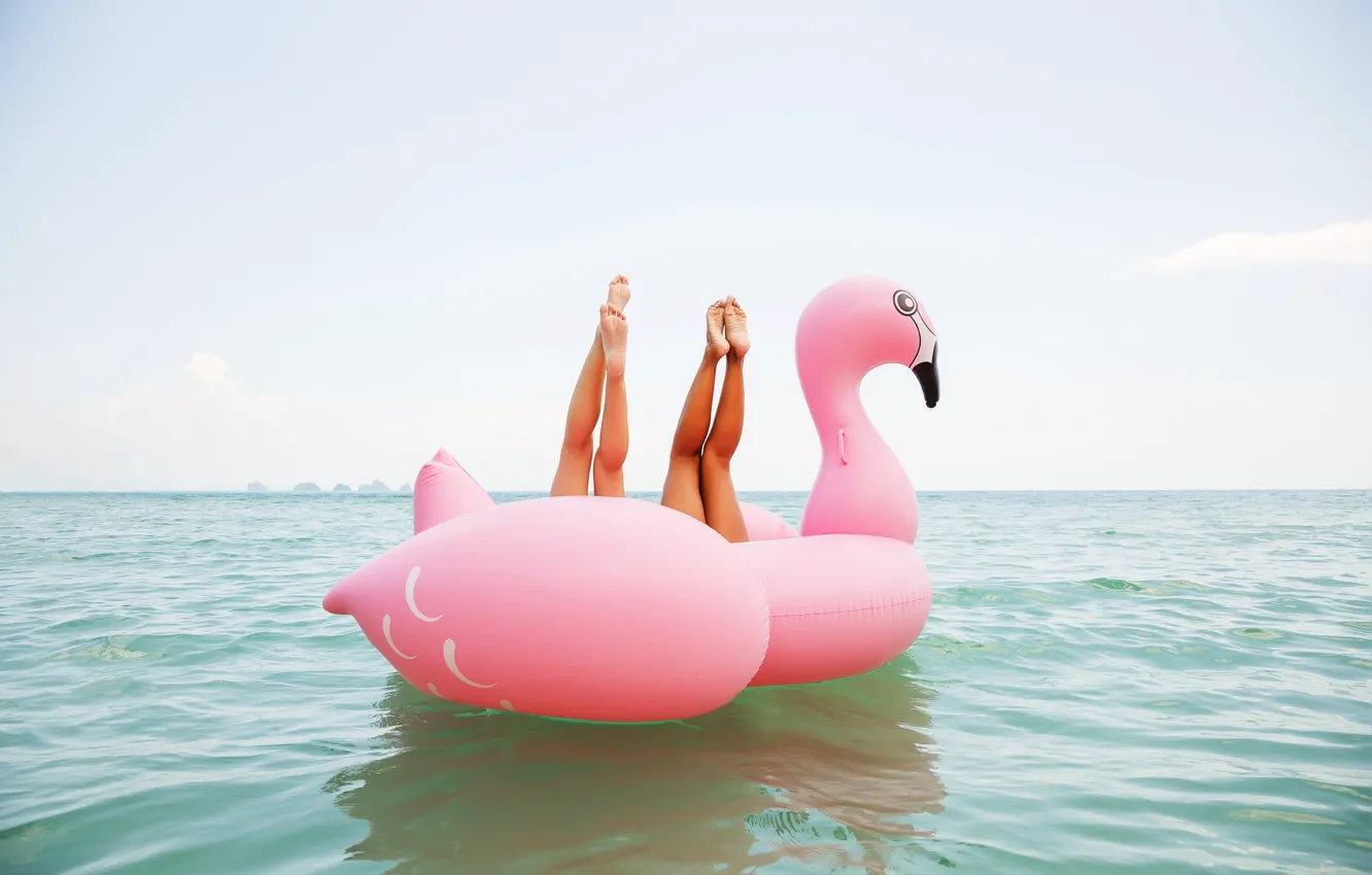 Photo wallpaper legs, fun, swan float