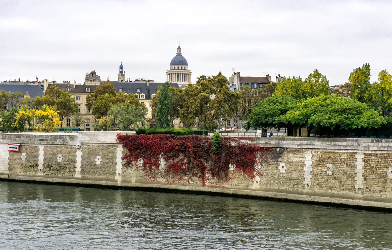 Photo wallpaper trees, river, France, Paris, Hay, Pantheon
