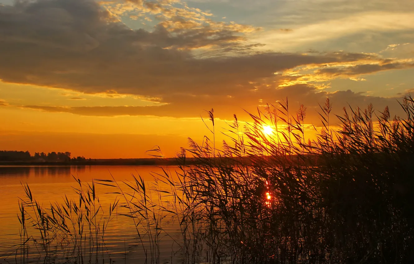 Photo wallpaper the sky, the sun, landscape, sunset, nature, river, photo, dawn