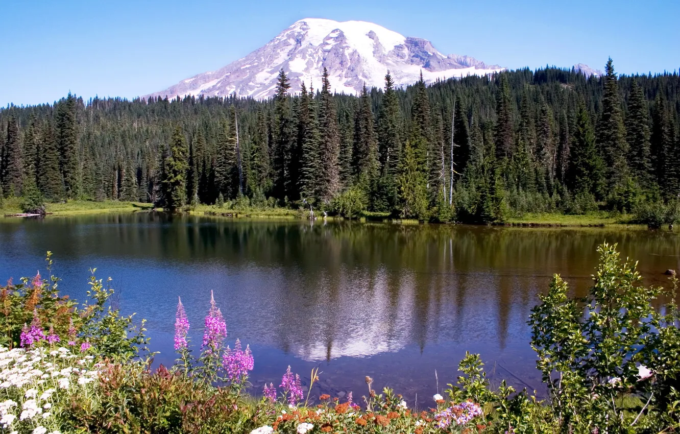 Photo wallpaper forest, the sky, trees, landscape, flowers, mountains, nature, lake