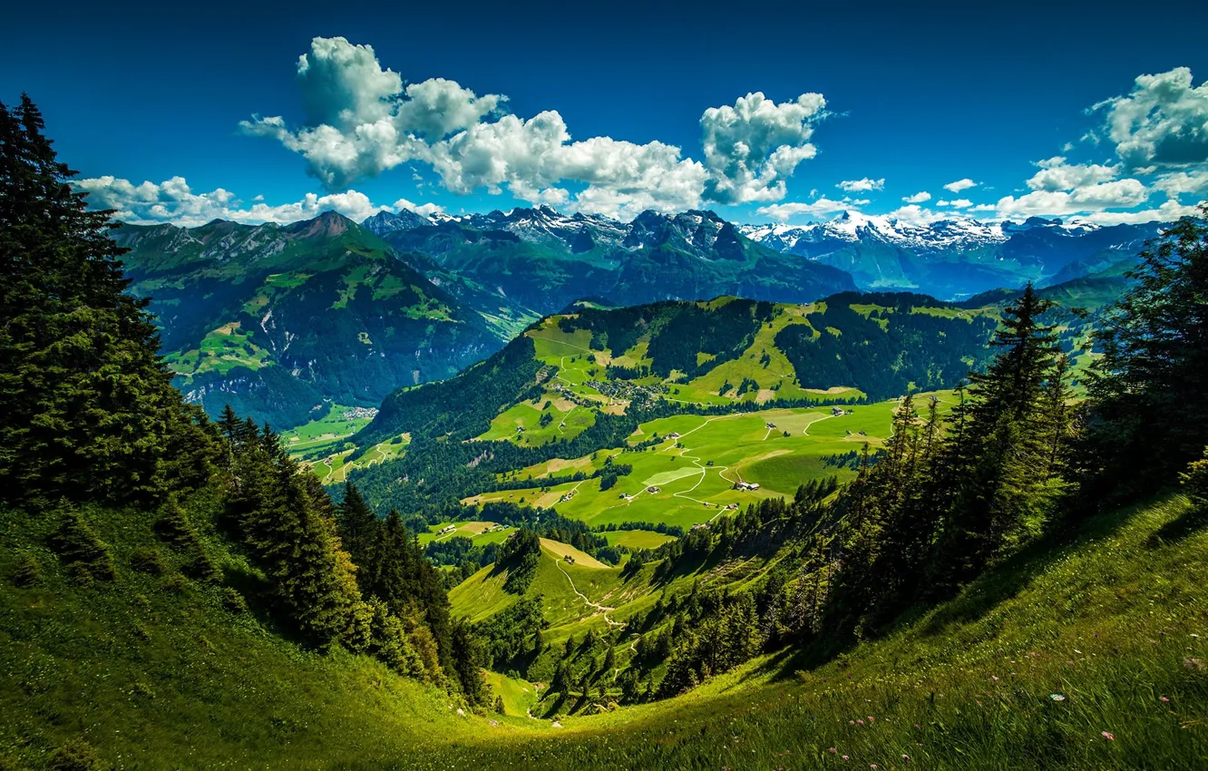 Photo wallpaper sky, trees, mountains, clouds, leaves, Stanserhorn, Swiss Alps. Switzerland