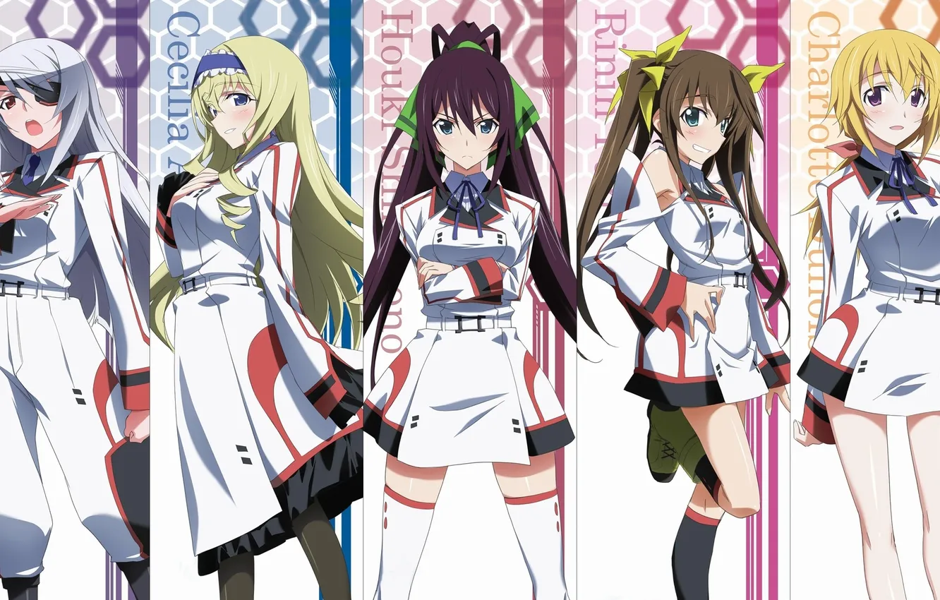 Photo wallpaper Charles Dunois, Infinite Stratos, Lingyin Huang, Cecilia Alcott, Laura Bodewig, Shinonono Houki