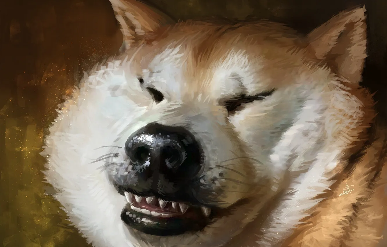 Photo wallpaper face, teeth, nose, art, dog