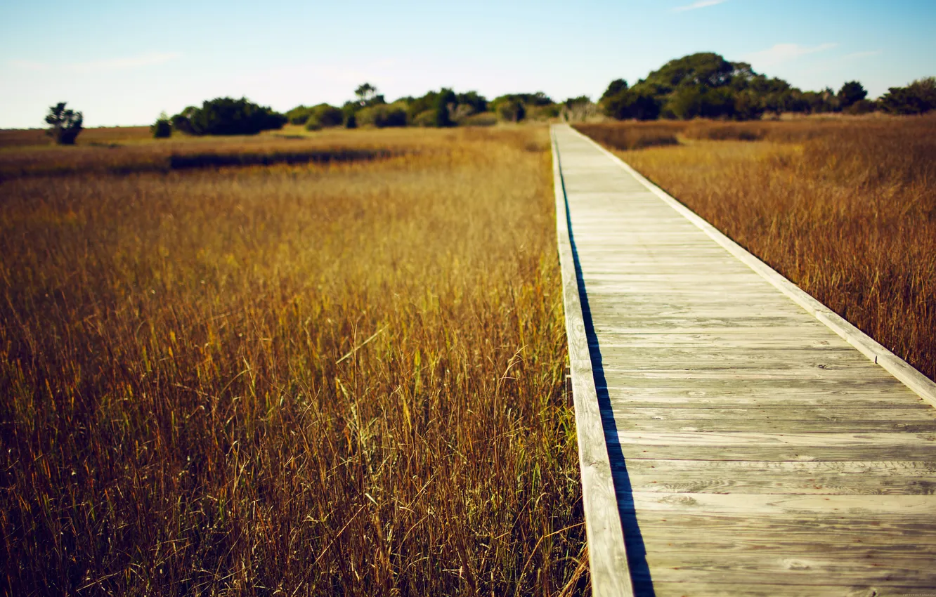 Photo wallpaper road, field, the sky