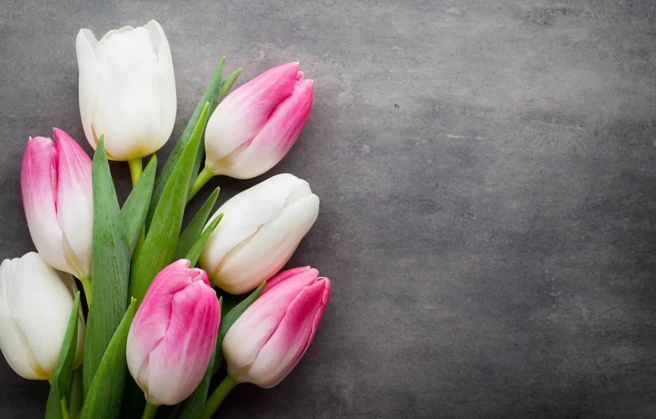 Photo wallpaper flowers, bouquet, tulips, pink, white, white, fresh, pink