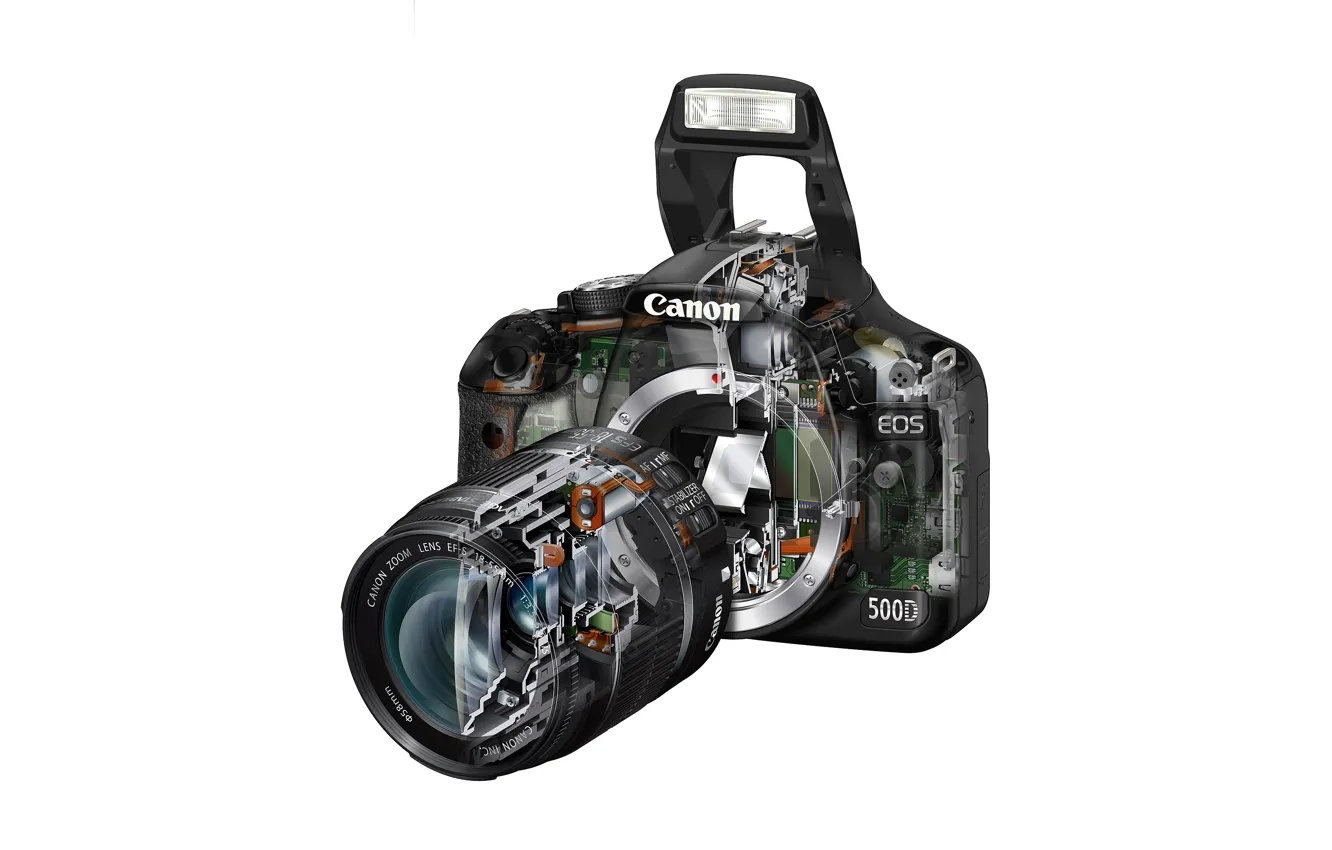 Photo wallpaper Canon, EOS 500D, cutaway