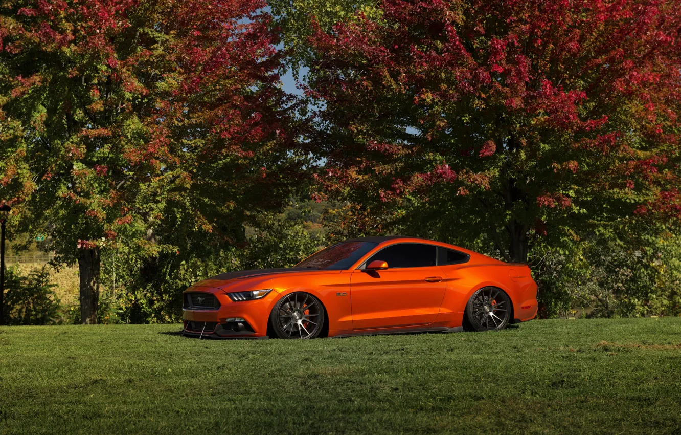 Photo wallpaper Mustang, Ford, Orange, Wheels, Niche