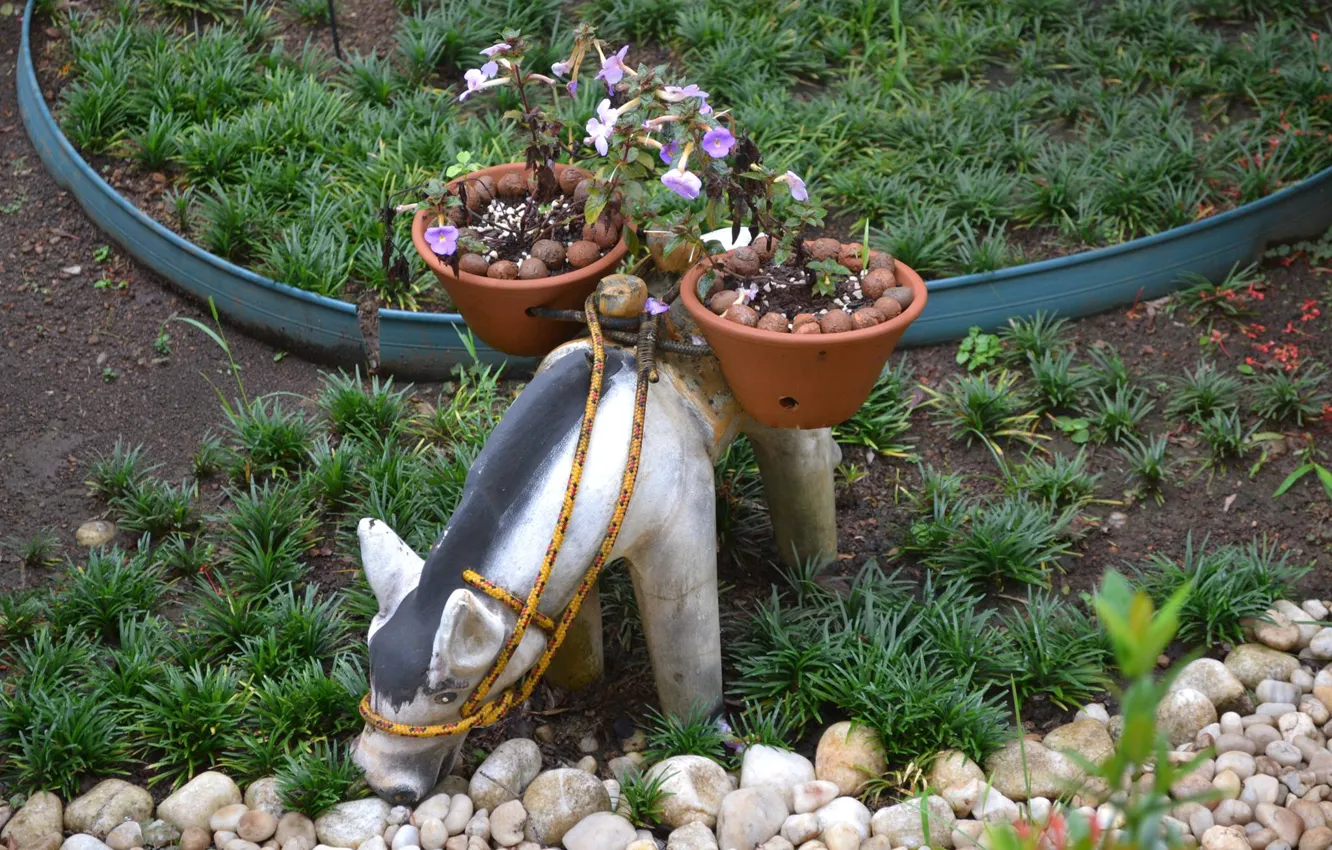 Photo wallpaper flower, garden, decoration