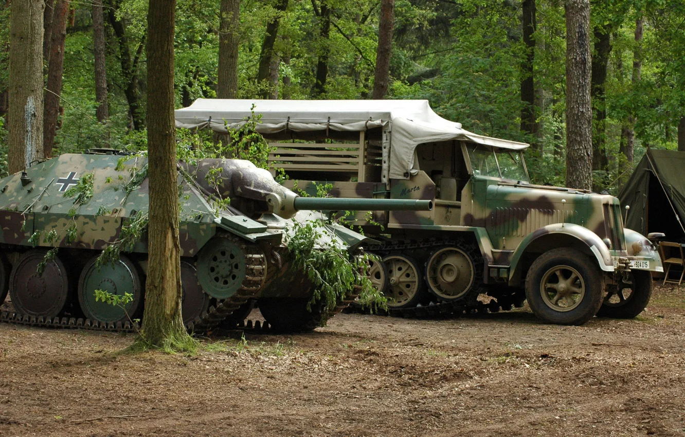 Photo wallpaper forest, self-propelled, artillery, easy, Hetzer, crawler, "Hettser, Jagdpanzer 38