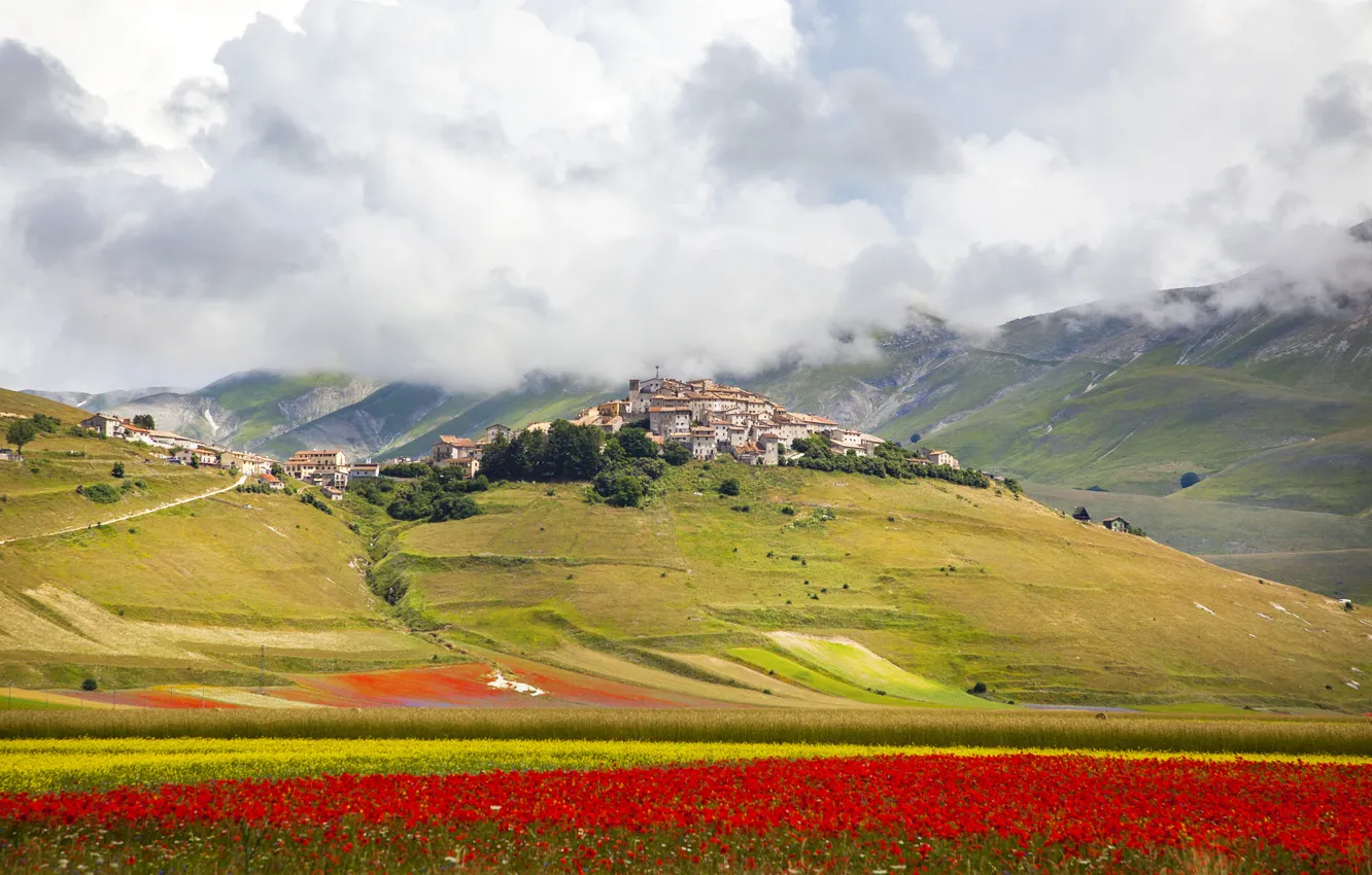 Photo wallpaper field, the sky, clouds, flowers, the city, hills, home, Italy
