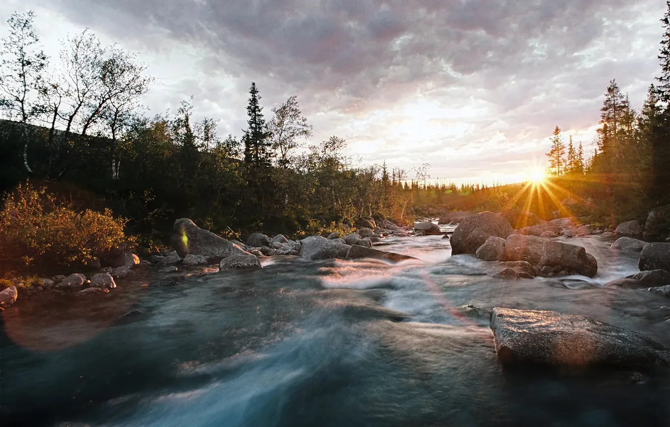 Photo wallpaper the sun, landscape, nature, river, Mikhail Zemlyansky