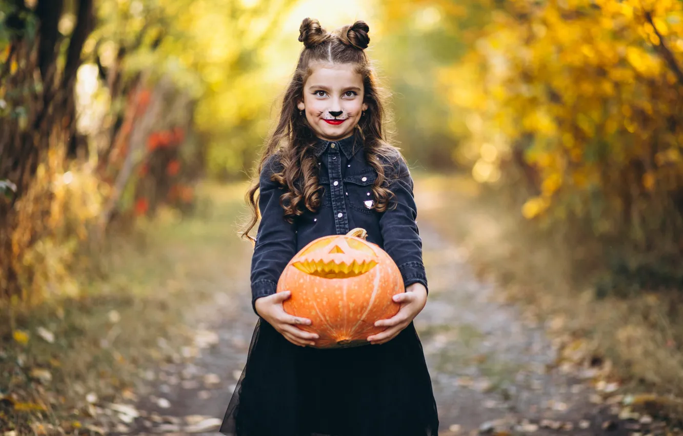 Photo wallpaper road, autumn, look, nature, Park, holiday, the game, makeup