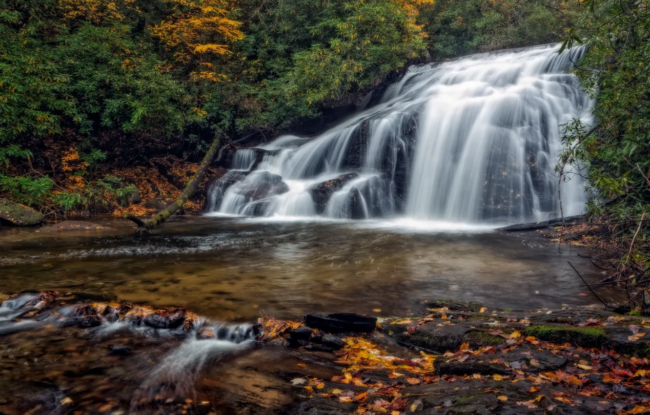 Photo wallpaper forest, rocks, shore, waterfall, stream