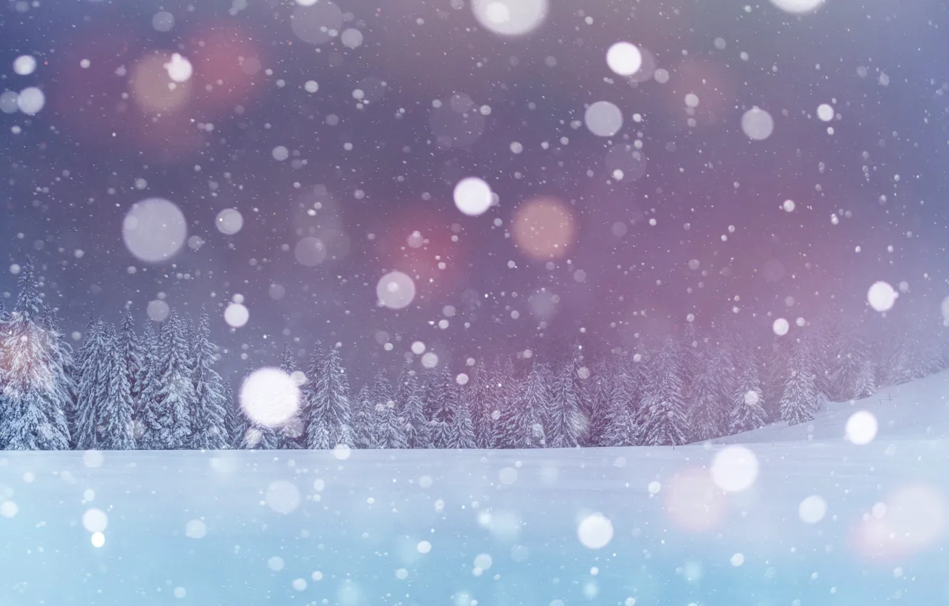 Photo wallpaper winter, field, forest, the sky, snow, in the snow, treatment, the evening