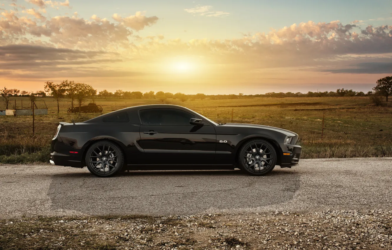 Photo wallpaper Texas, Dallas, profile, 2013 Mustang GT