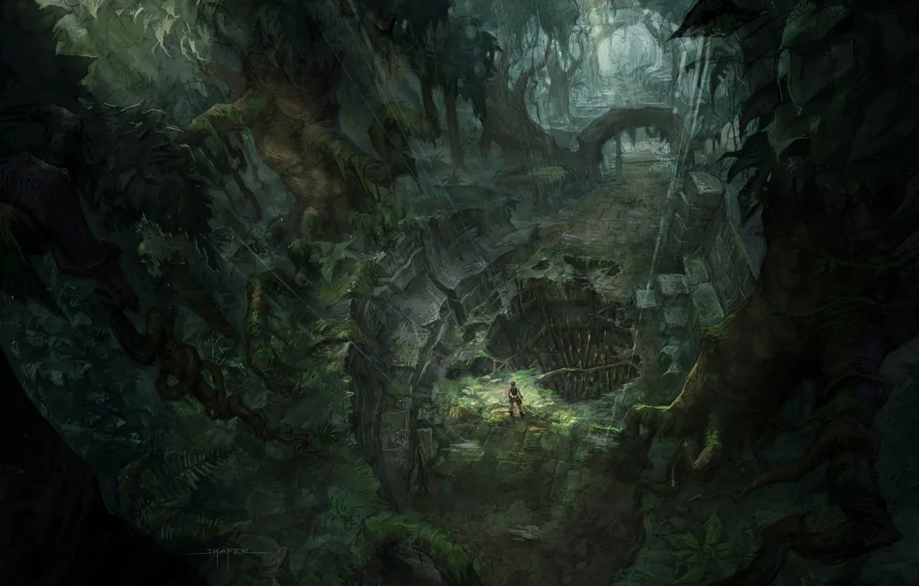 Photo wallpaper forest, girl, rain, thicket, Tomb Raider, cave, Underworld, concept art