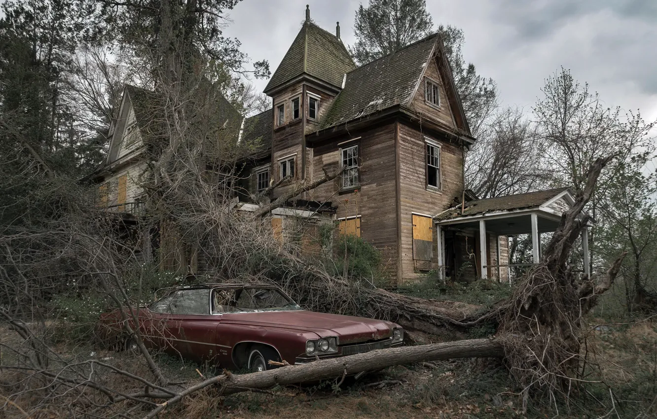 Photo wallpaper machine, trees, home