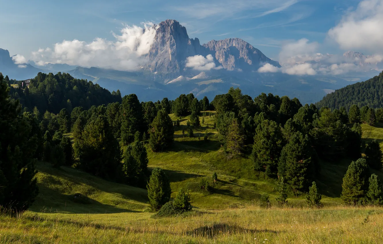 Photo wallpaper field, forest, clouds, mountains, dal, slope