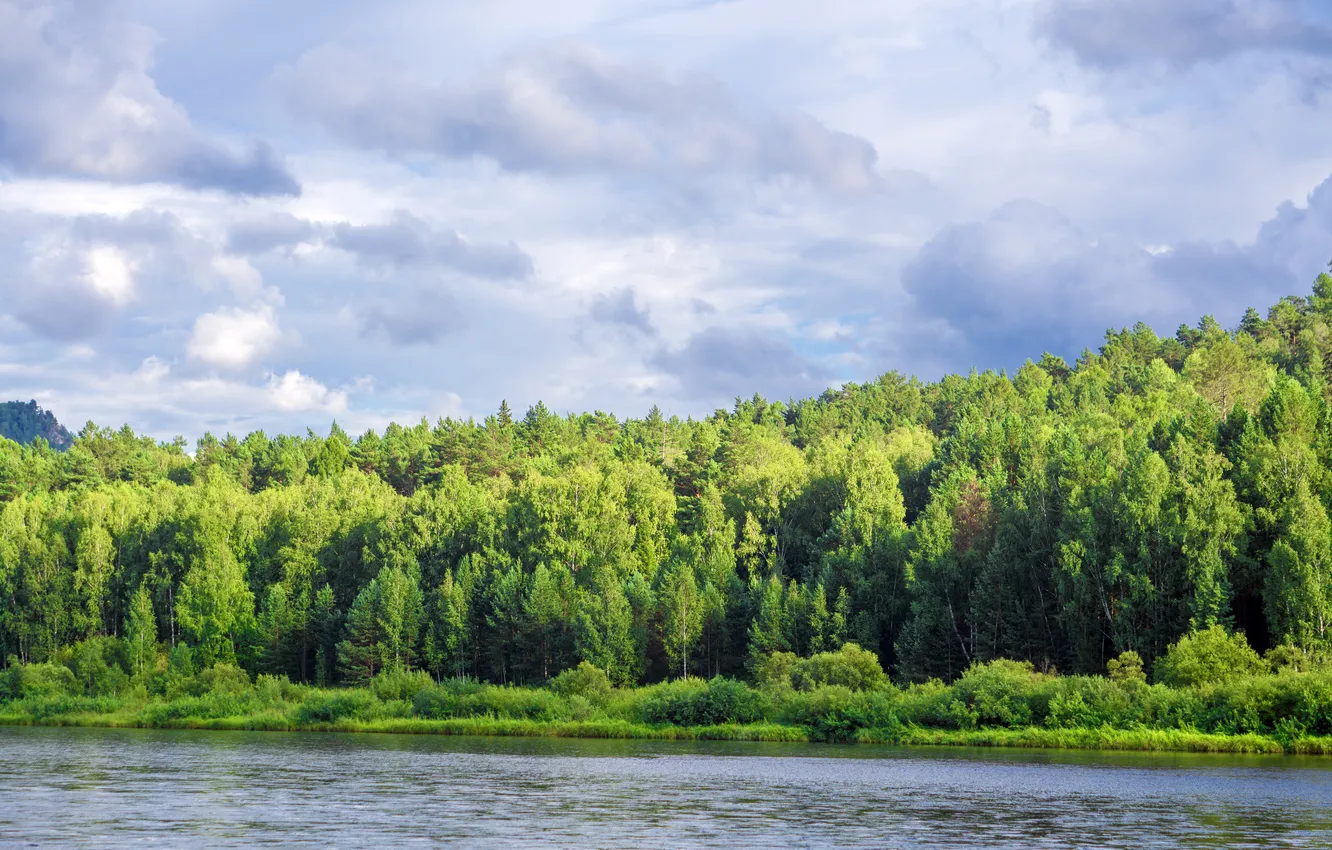 Photo wallpaper forest, river, sky, nature