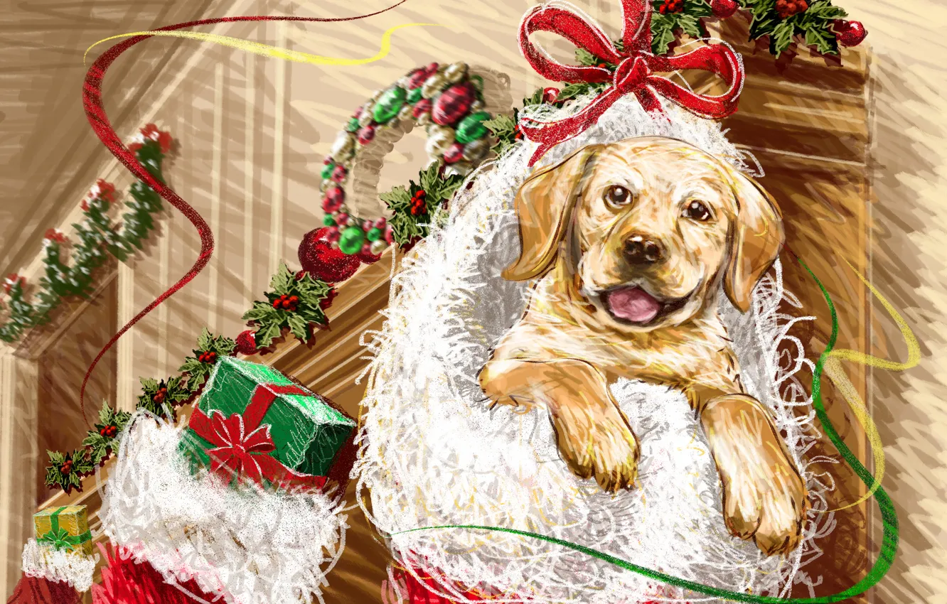 Photo wallpaper new year, gifts, puppy