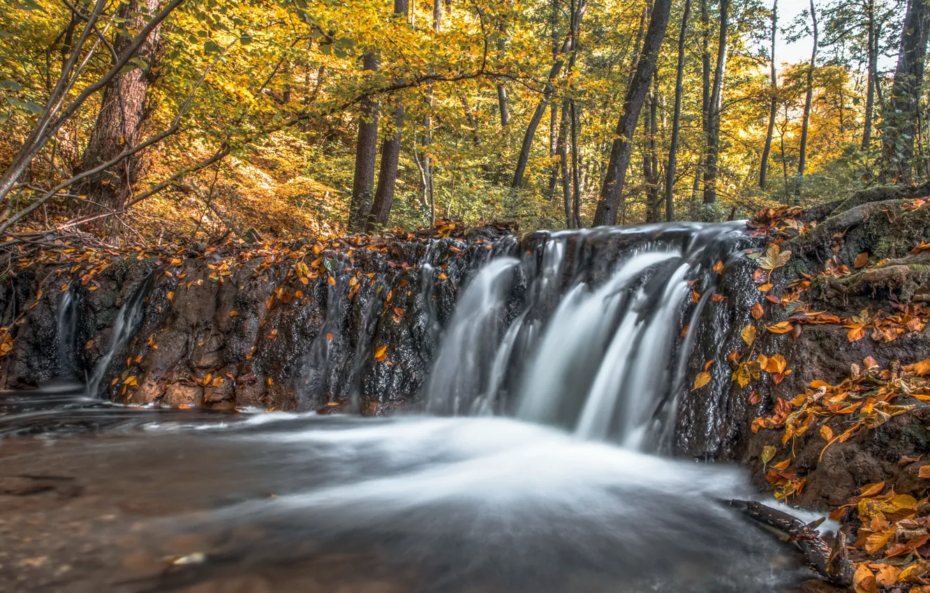 Photo wallpaper autumn, river, waterfall