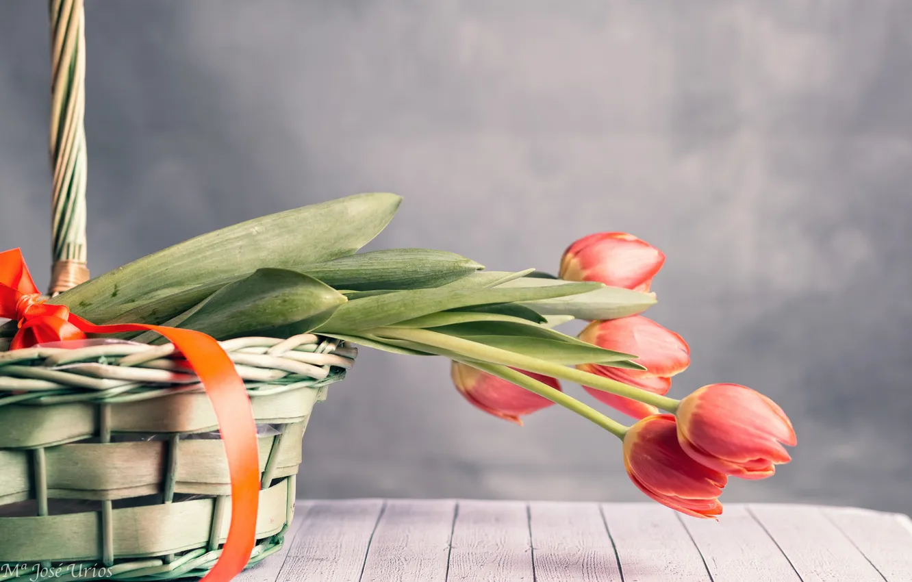 Photo wallpaper flowers, basket, tape, tulips