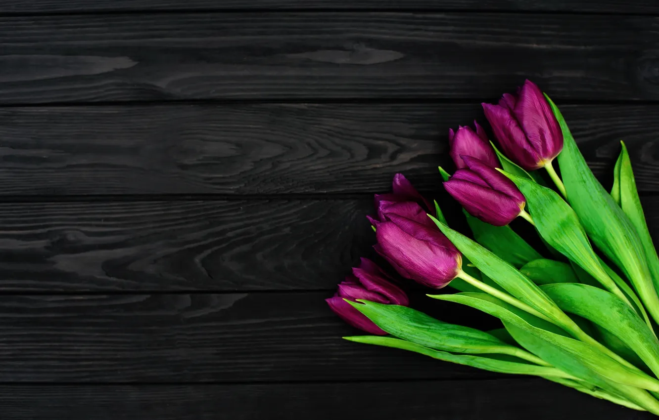 Photo wallpaper flowers, bouquet, tulips, flowers, tulips, spring, purple, with love