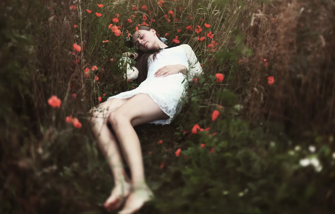 Photo wallpaper field, girl, nature