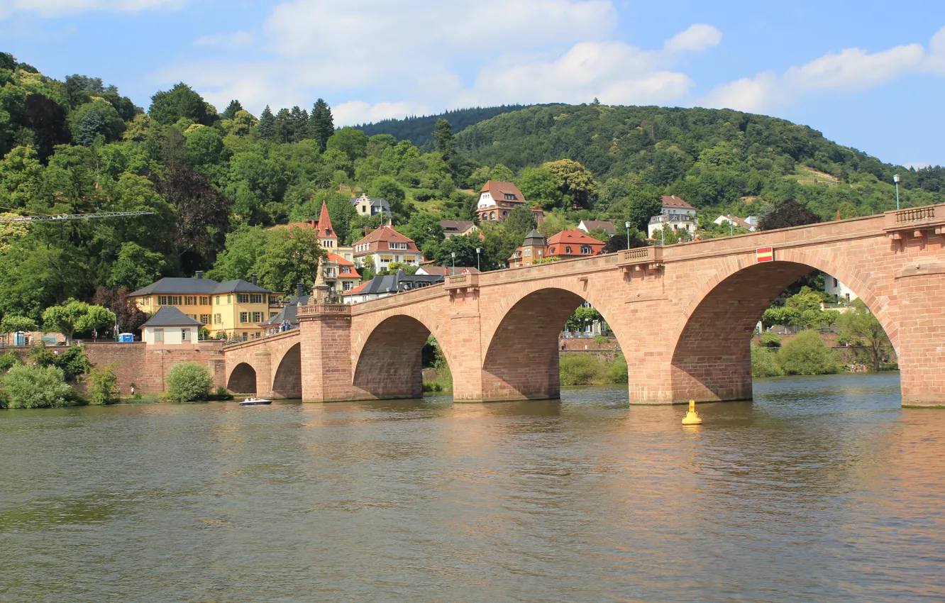 Photo wallpaper River, Germany, Germany, River, Heidelberg, Old bridge, Heidelberg, Old Bridge