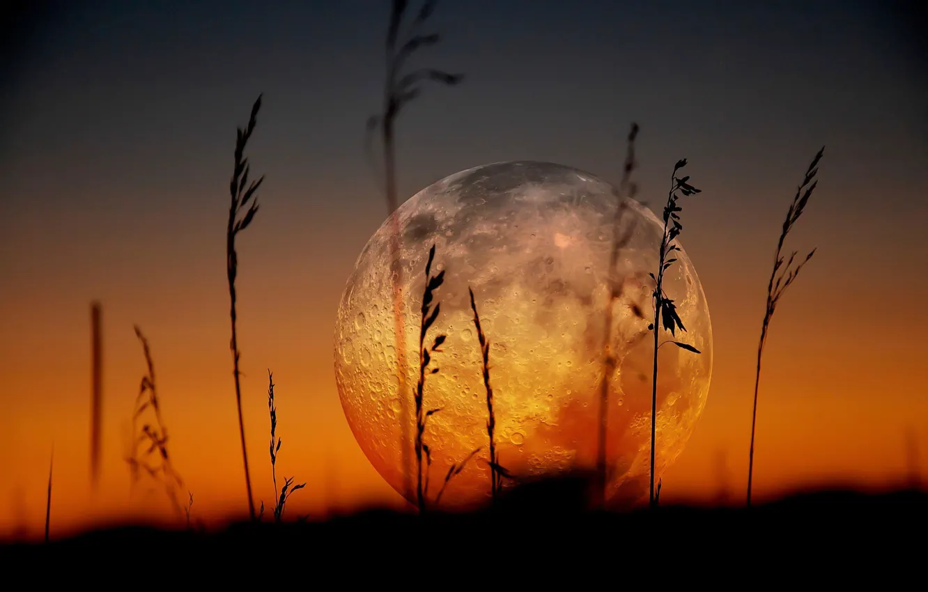 Photo wallpaper the moon, Huge, full