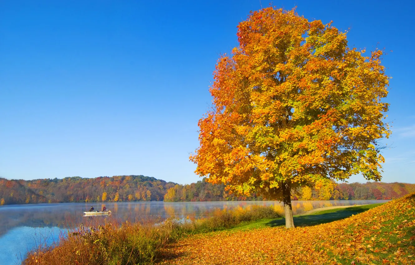 Photo wallpaper autumn, the sky, river, tree, mood, hills, foliage, boat