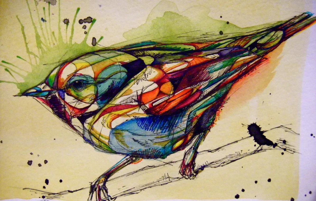 Photo wallpaper bird, paint, figure, graphics, Sparrow, mascara, rascasse