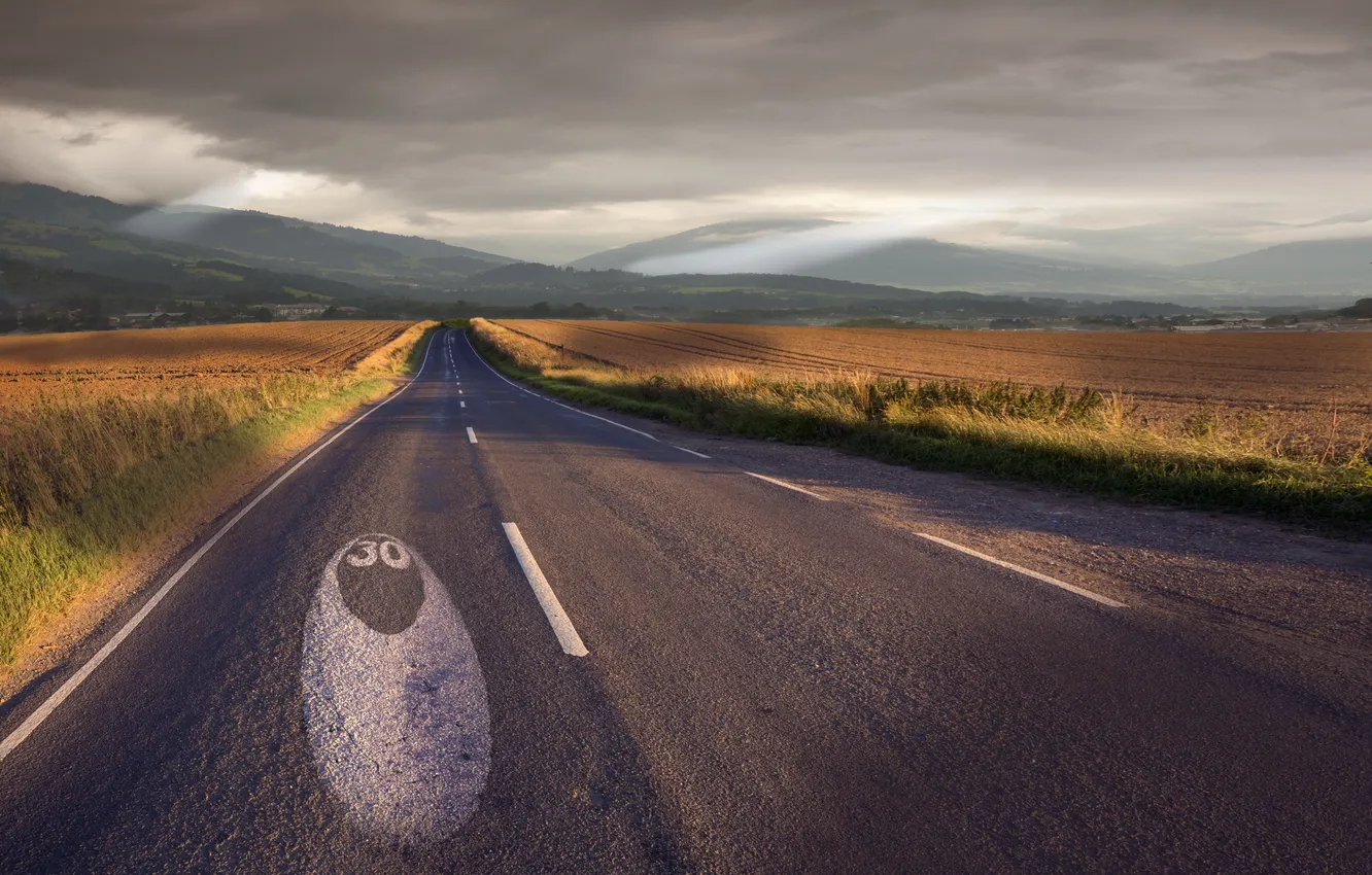 Photo wallpaper road, field, morning