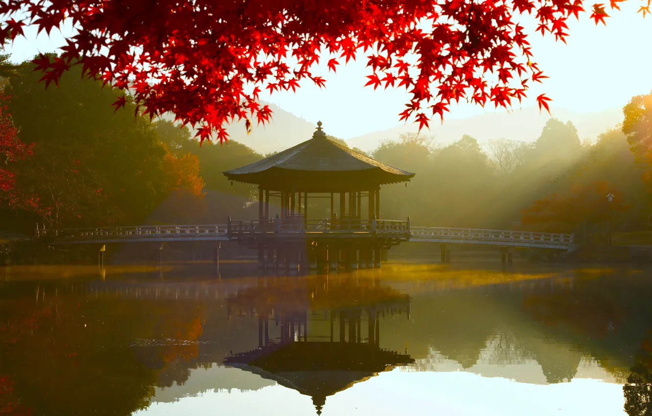 Photo wallpaper trees, landscape, nature, bridge, water, leaves, morning, reflection